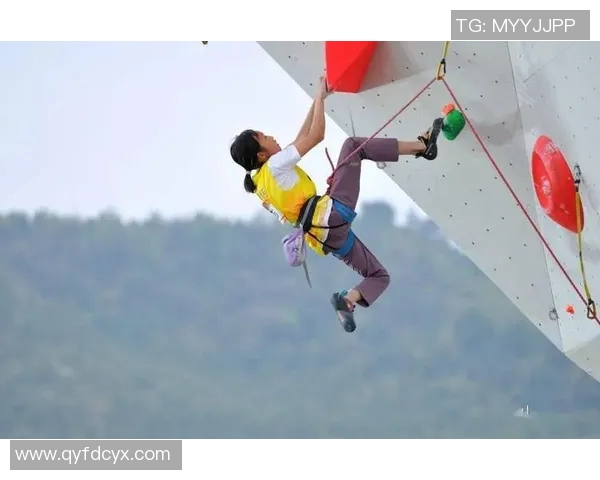 成都攀岩队荣获全国攀岩战术排行榜第三名的辉煌成就