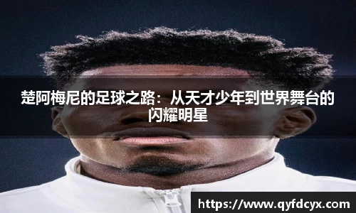 乐天堂平台